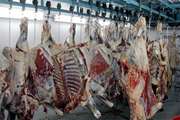 نظارت بر استحصال بیش از 39تن گوشت قرمز توسط کارشناسان شبکه دامپزشکی شهرستان قاینات